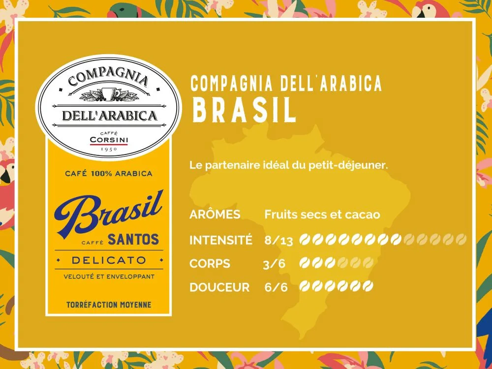 image de notre paquet de café en grains Brasil et de ses specificités (arômes, intensité, corps, douceur)