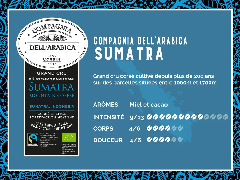 image de notre paquet de café en grains Sumatra, de ses spécificités (arômes, intensité, corps, douceur)