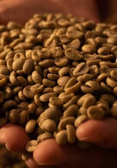 a handful of coffee beans