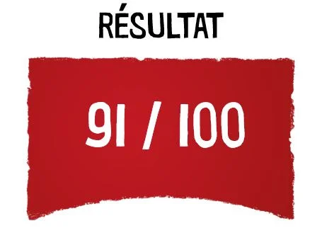 Image avec résultat du score égalité hommes-femmes chez Melitta. Indication du score 91 sur 100. 