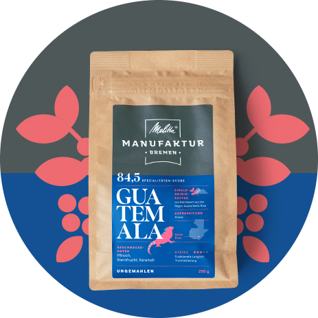 Melitta Manufaktur Kaffee „Guatemala“ Produktbild auf blauem und grauem Hintergrund