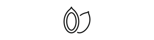 Icon Kakao