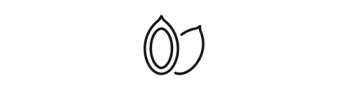 Icon Kakao