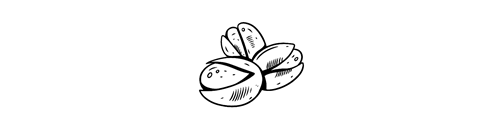 Icon Trockenfrüchte