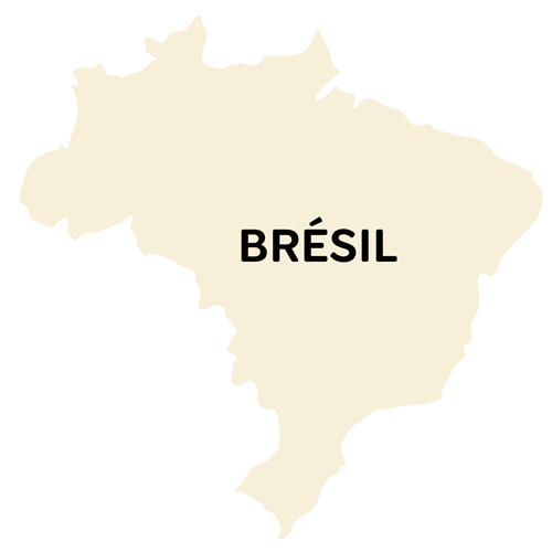 Silhouette du Brésil avec le mot Brésil dessus