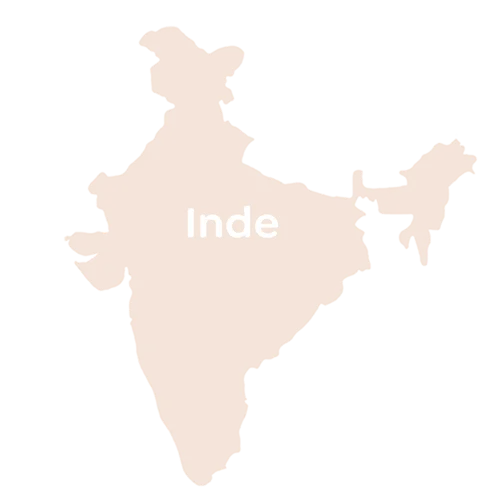 Carte de l'Inde